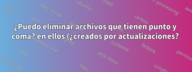 ¿Puedo eliminar archivos que tienen punto y coma? en ellos (¿creados por actualizaciones?)