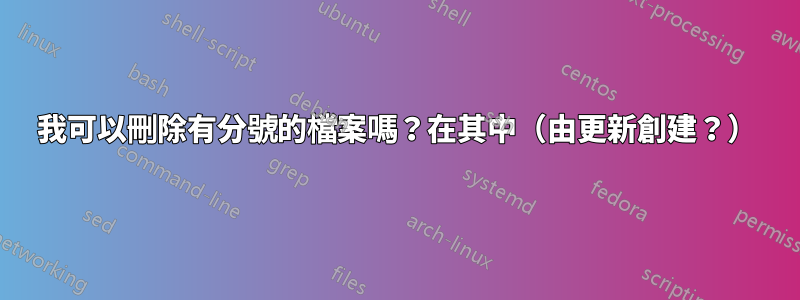 我可以刪除有分號的檔案嗎？在其中（由更新創建？）