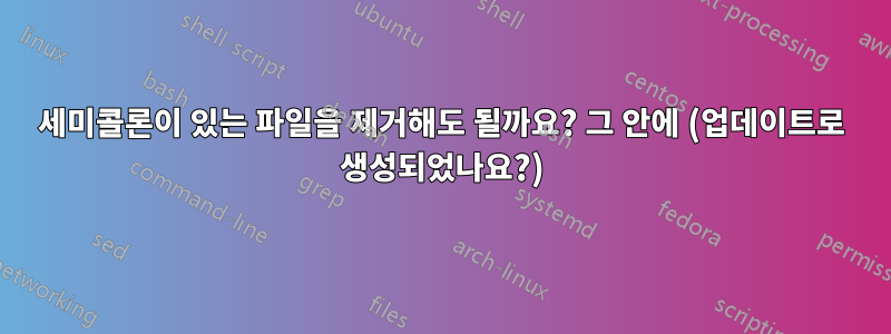 세미콜론이 있는 파일을 제거해도 될까요? 그 안에 (업데이트로 생성되었나요?)