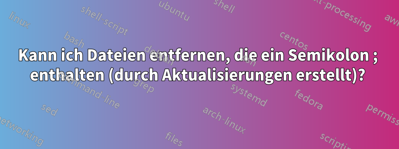 Kann ich Dateien entfernen, die ein Semikolon ; enthalten (durch Aktualisierungen erstellt)?