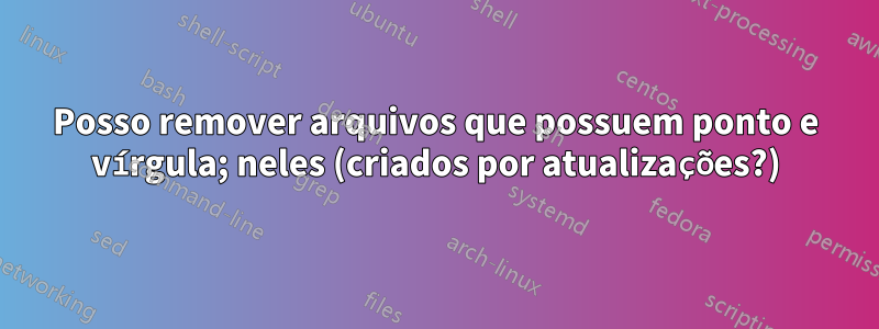 Posso remover arquivos que possuem ponto e vírgula; neles (criados por atualizações?)