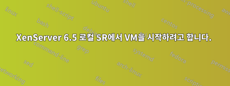 XenServer 6.5 로컬 SR에서 VM을 시작하려고 합니다.