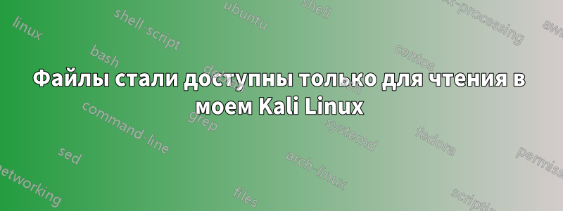 Файлы стали доступны только для чтения в моем Kali Linux