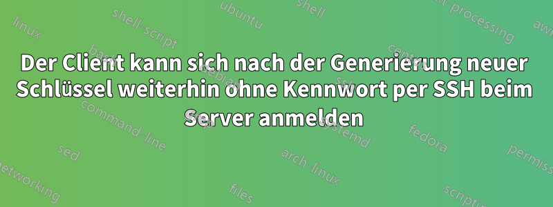 Der Client kann sich nach der Generierung neuer Schlüssel weiterhin ohne Kennwort per SSH beim Server anmelden