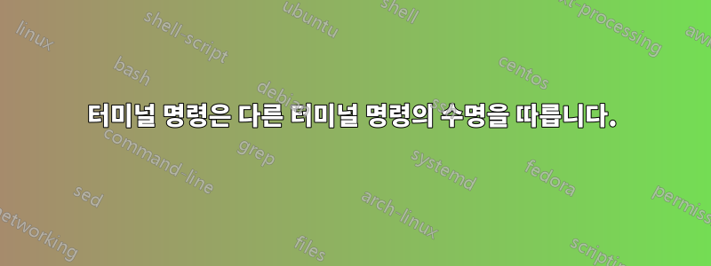 터미널 명령은 다른 터미널 명령의 수명을 따릅니다.