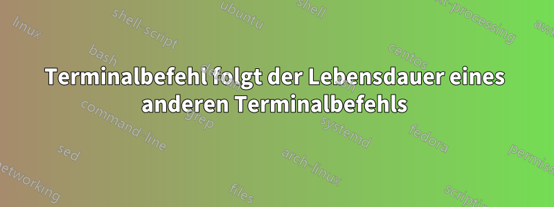 Terminalbefehl folgt der Lebensdauer eines anderen Terminalbefehls