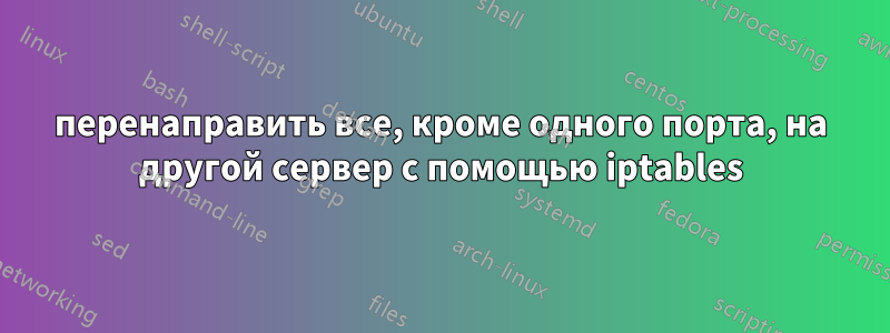 перенаправить все, кроме одного порта, на другой сервер с помощью iptables