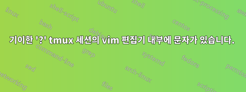 기이한 '?' tmux 세션의 vim 편집기 내부에 문자가 있습니다.