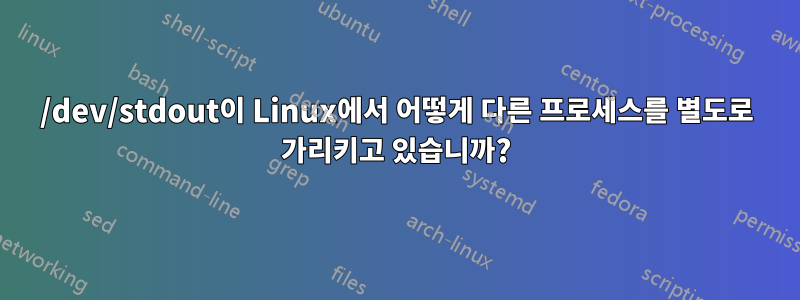 /dev/stdout이 Linux에서 어떻게 다른 프로세스를 별도로 가리키고 있습니까?