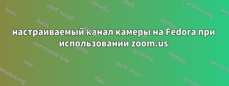 настраиваемый канал камеры на Fedora при использовании zoom.us