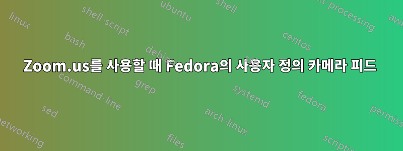 Zoom.us를 사용할 때 Fedora의 사용자 정의 카메라 피드