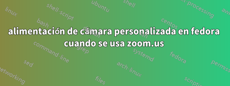 alimentación de cámara personalizada en fedora cuando se usa zoom.us