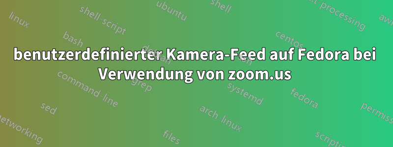benutzerdefinierter Kamera-Feed auf Fedora bei Verwendung von zoom.us