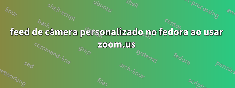 feed de câmera personalizado no fedora ao usar zoom.us