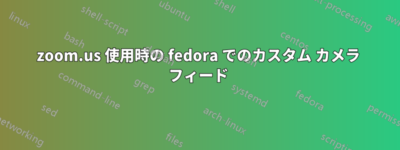 zoom.us 使用時の fedora でのカスタム カメラ フィード