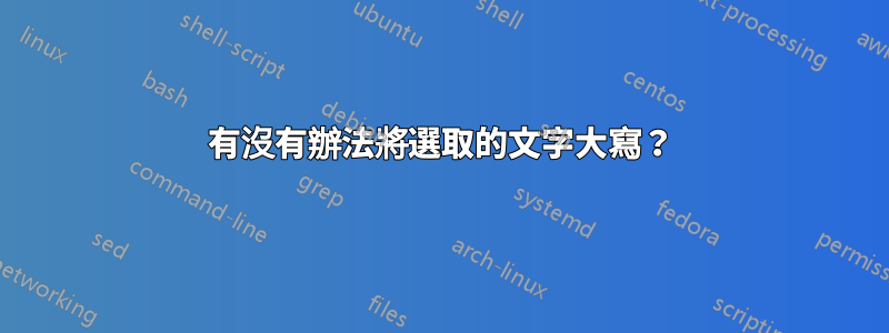 有沒有辦法將選取的文字大寫？