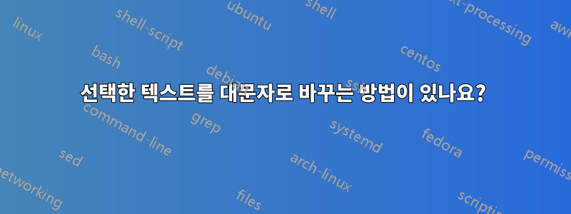선택한 텍스트를 대문자로 바꾸는 방법이 있나요?