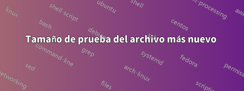 Tamaño de prueba del archivo más nuevo