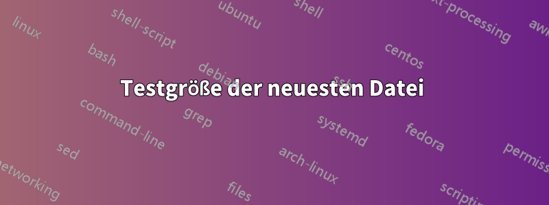 Testgröße der neuesten Datei