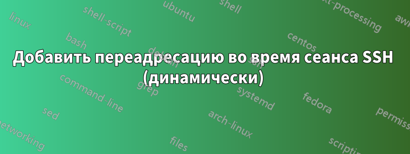 Добавить переадресацию во время сеанса SSH (динамически)