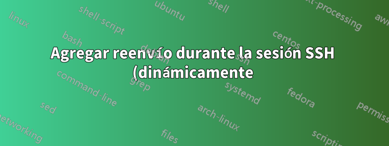 Agregar reenvío durante la sesión SSH (dinámicamente)