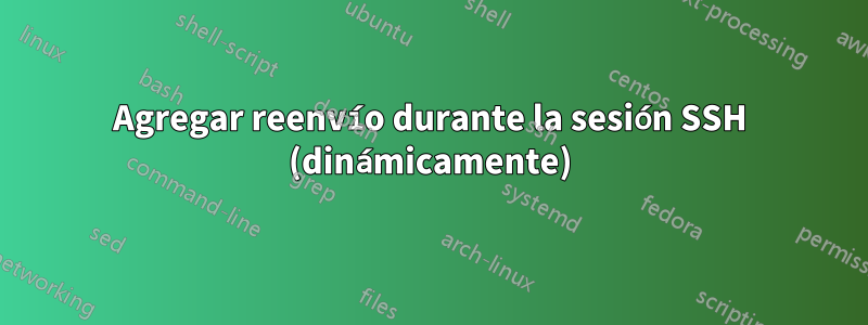 Agregar reenvío durante la sesión SSH (dinámicamente)