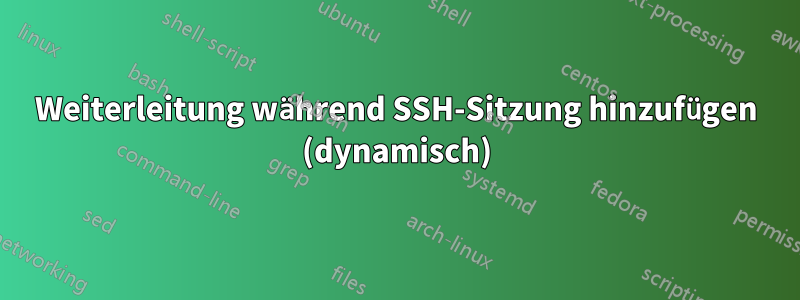 Weiterleitung während SSH-Sitzung hinzufügen (dynamisch)