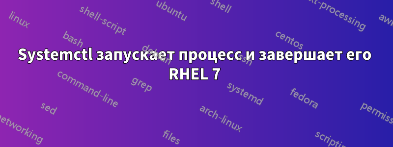 Systemctl запускает процесс и завершает его RHEL 7