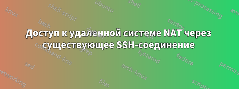 Доступ к удаленной системе NAT через существующее SSH-соединение