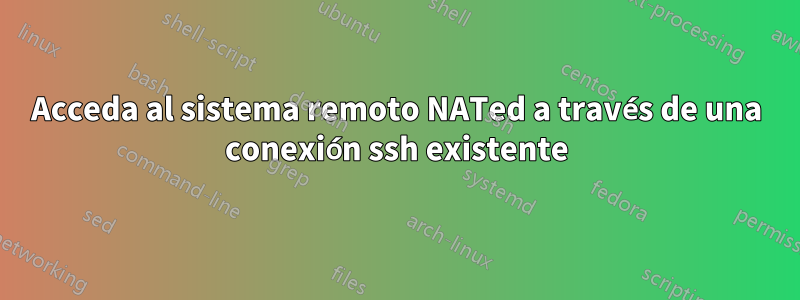 Acceda al sistema remoto NATed a través de una conexión ssh existente
