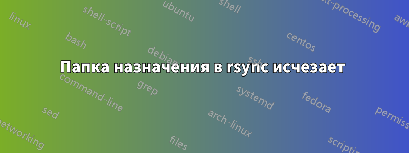 Папка назначения в rsync исчезает