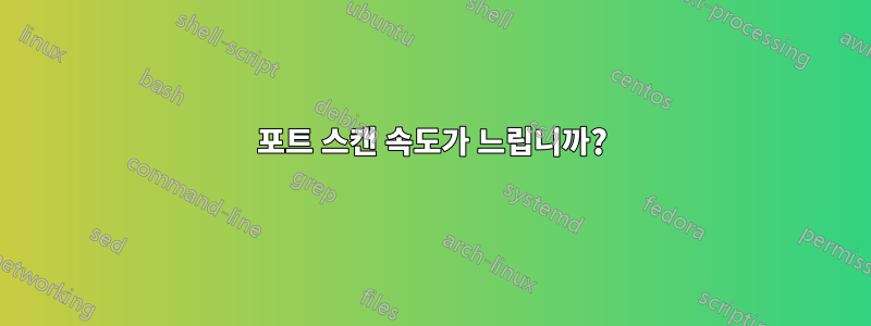 포트 스캔 속도가 느립니까?