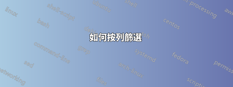 如何按列篩選