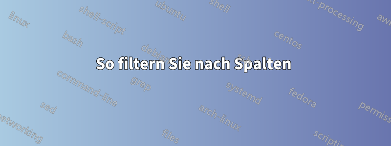 So filtern Sie nach Spalten