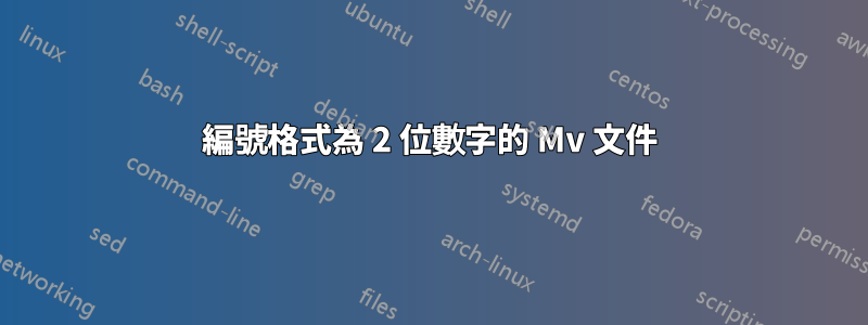 編號格式為 2 位數字的 Mv 文件