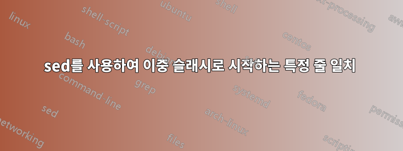 sed를 사용하여 이중 슬래시로 시작하는 특정 줄 일치