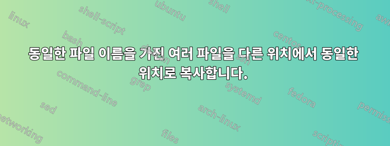 동일한 파일 이름을 가진 여러 파일을 다른 위치에서 동일한 위치로 복사합니다.