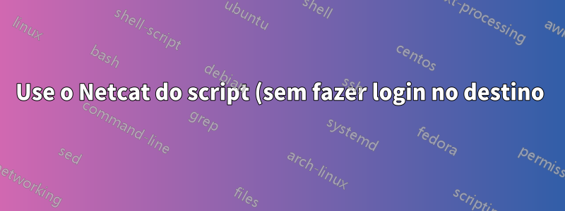 Use o Netcat do script (sem fazer login no destino)