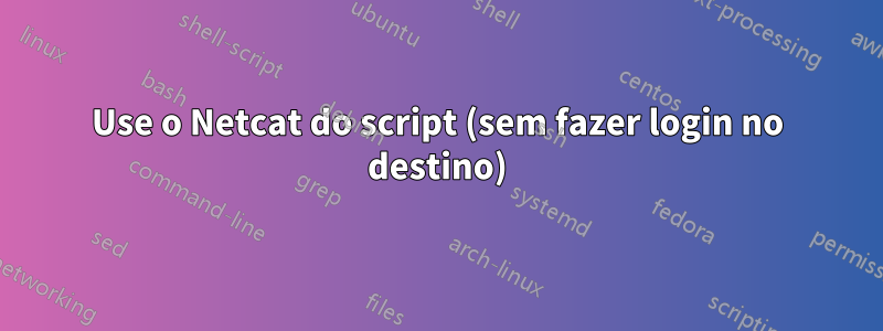 Use o Netcat do script (sem fazer login no destino)