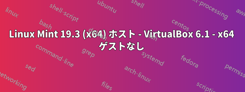 Linux Mint 19.3 (x64) ホスト - VirtualBox 6.1 - x64 ゲストなし