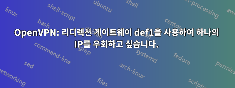 OpenVPN: 리디렉션 게이트웨이 def1을 사용하여 하나의 IP를 우회하고 싶습니다.