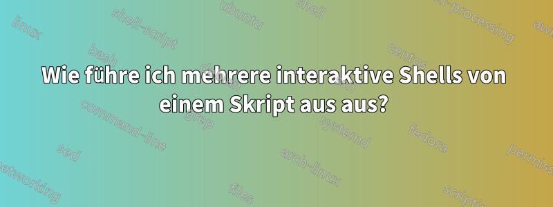 Wie führe ich mehrere interaktive Shells von einem Skript aus aus?