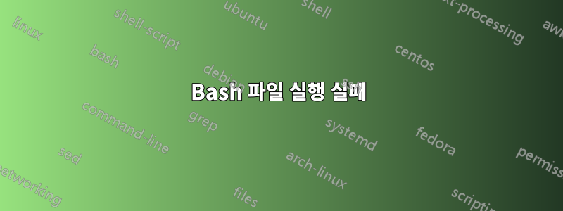 Bash 파일 실행 실패
