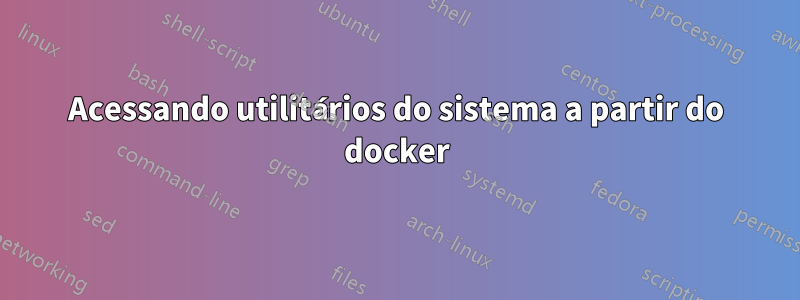 Acessando utilitários do sistema a partir do docker