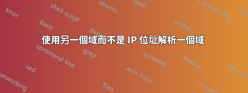 使用另一個域而不是 IP 位址解析一個域