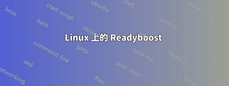 Linux 上的 Readyboost