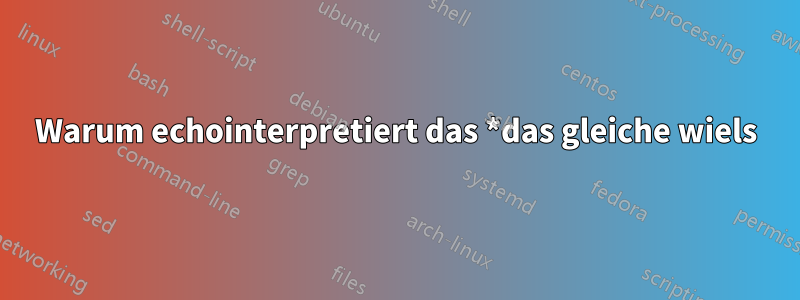 Warum echointerpretiert das *das gleiche wiels