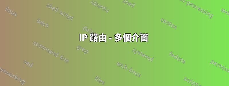 IP 路由 - 多個介面