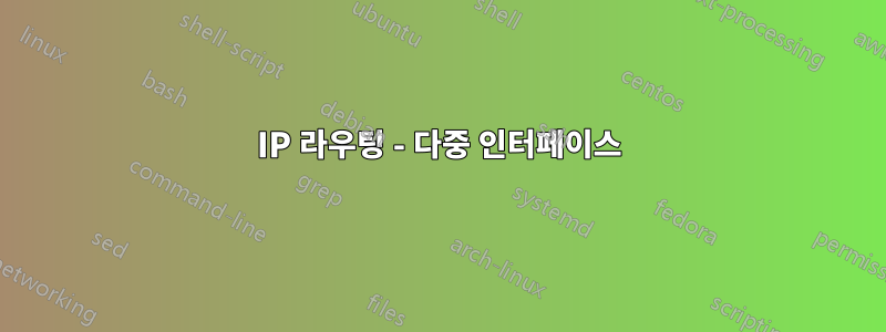 IP 라우팅 - 다중 인터페이스