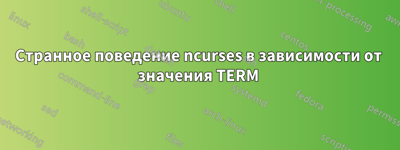 Странное поведение ncurses в зависимости от значения TERM